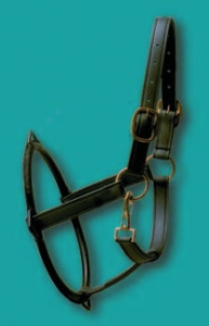 134SB 11" x 8 1/2" Standard Size Biothane Dental Halter