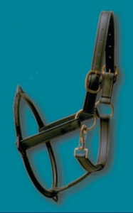 138- 10" x 7 1/2" Miniature Biothane Dental Halter
