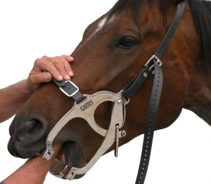 405B- Biothane CAPPS Mighty Speculum