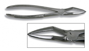 638 - 8" long Stainless Steel Wolf Tooth Forceps