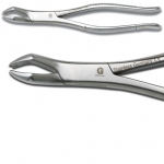716 - 7 1/2"  Stainless Steel  Wolf Tooth Forceps
