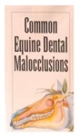 Malocclusion Pamphlet